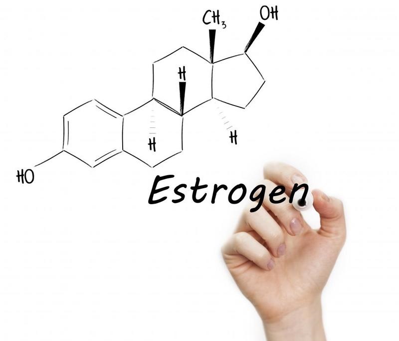 Nội tiết tố estrogen tiết ra từ đâu?