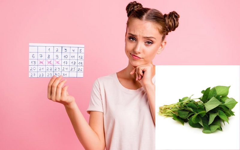 Rau diếp cá – thuốc đông y điều hòa kinh nguyệt