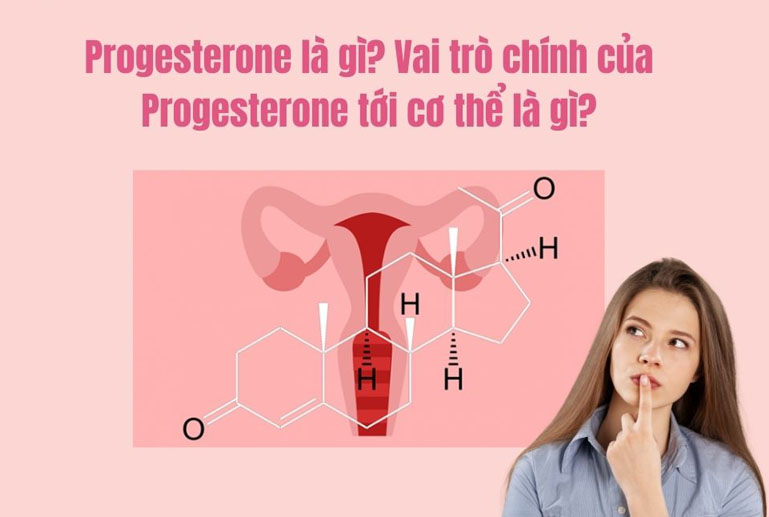 Vai trò của progesterone đối với sức khỏe