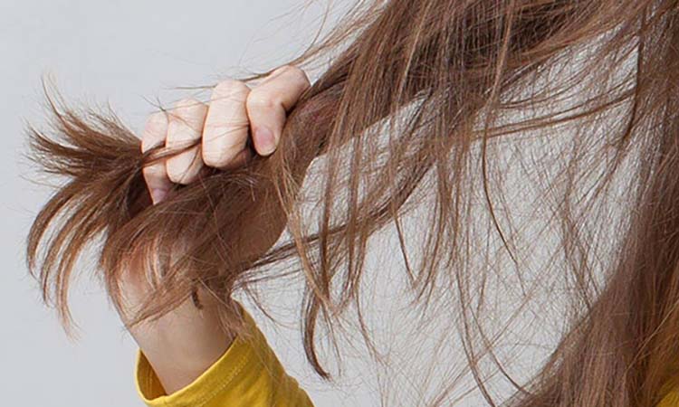 Sai lầm thường gặp khiến tóc bị xơ và gãy rụng