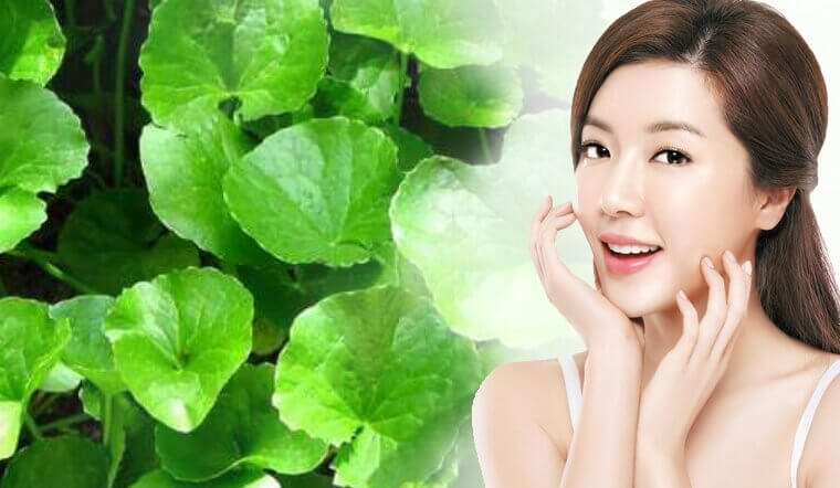 Cách trị vết thâm sau mụn bằng rau má hiệu quả