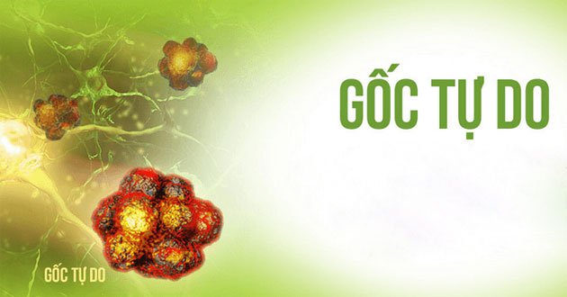 Chống gốc tự do bằng các chất chống oxy hóa tự nhiên