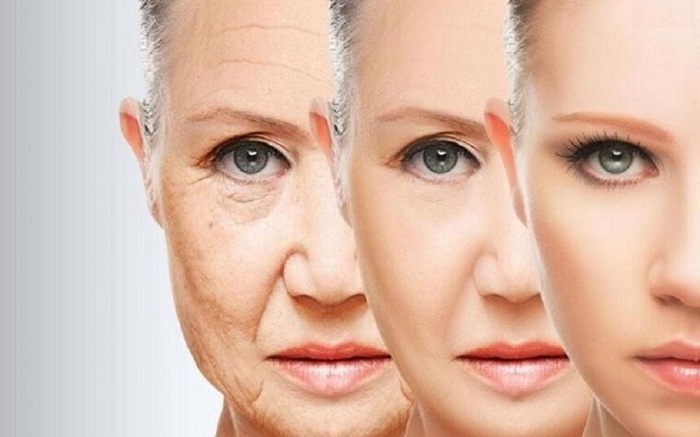 Giúp làm chậm lão hóa, kéo dài tuổi xuân